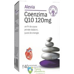 Coenzima Q10 120mg 40 comprimate