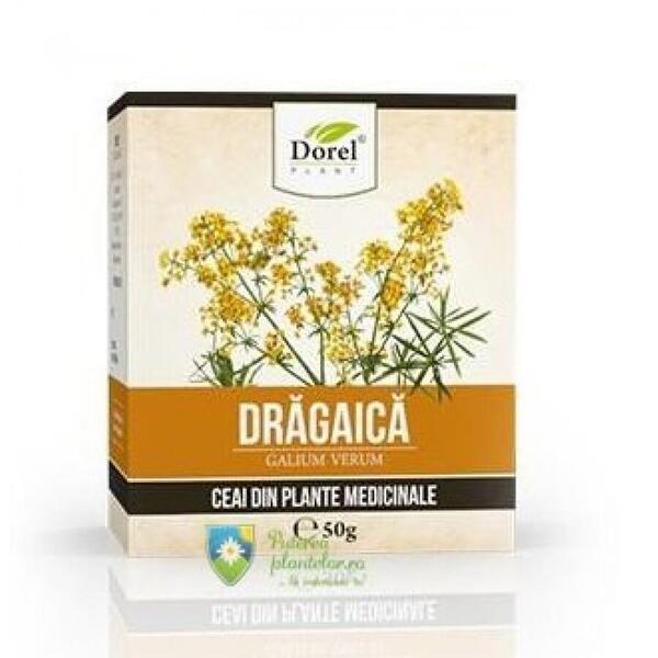 Dorel Plant Ceai de Dragaica (sanziene) 50 gr