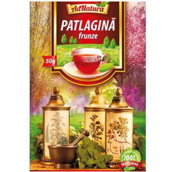 Ceai Patlagina frunze 50 gr