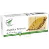 Medica Angelica sinensis 30 capsule