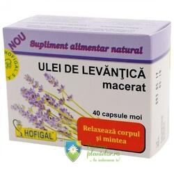 Hofigal Ulei de Levantica macerat 40 capsule moi