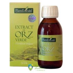 Extract Orz verde 120 ml