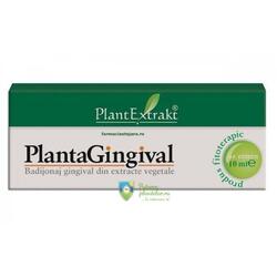 PlantExtrakt Plantagingival 10 ml