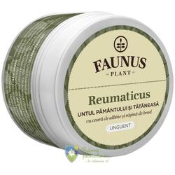 Unguent Reumaticus (Untul Pamantului si Tataneasa) 50 ml