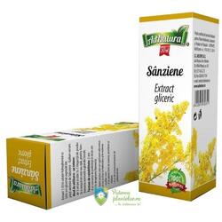 Sanziene Extract Gliceric 50 ml