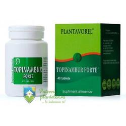 Plantavorel Topinambur Forte 40 tablete