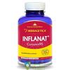 Herbagetica Inflanat+ Curcumin95 120 capsule