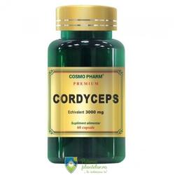 Cordyceps 300mg 60 capsule