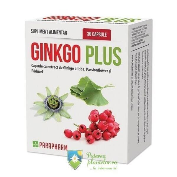 Parapharm Ginkgo Plus 30 capsule