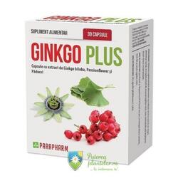 Ginkgo Plus 30 capsule