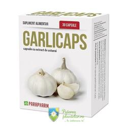 Garlicaps (usturoi) 30 capsule