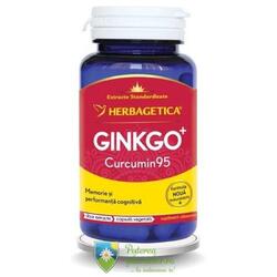 Ginkgo+ Curcumin95 30 capsule