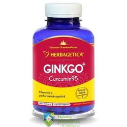Ginkgo+ Curcumin95 120 capsule