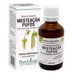 PlantExtrakt Extract din Amenti de Mesteacan pufos 50 ml
