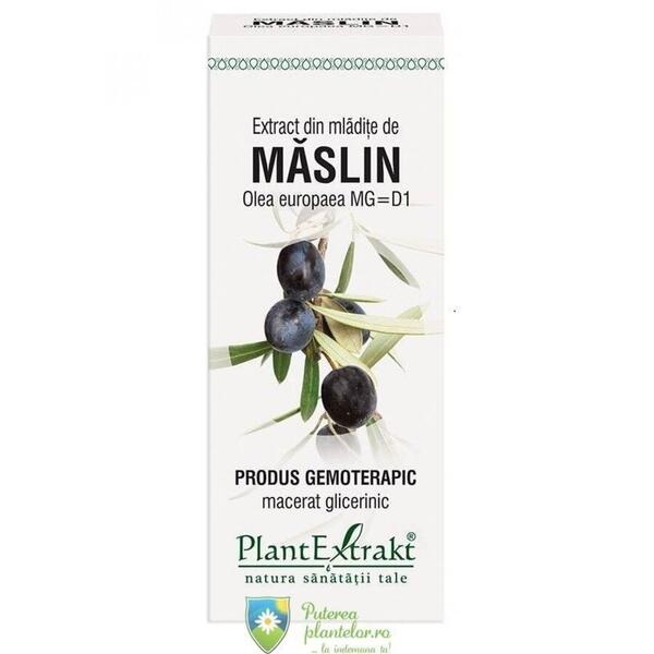 PlantExtrakt Extract din Mladite de Maslin 50 ml