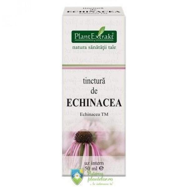 PlantExtrakt Tinctura de Echinacea 50 ml