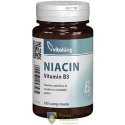 Vitamina B3 (niacina) 100mg 100 comprimate