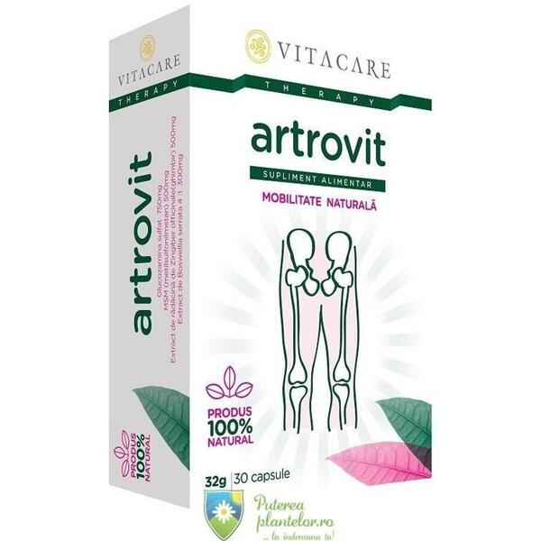 Vitacare Artrovit 30 capsule