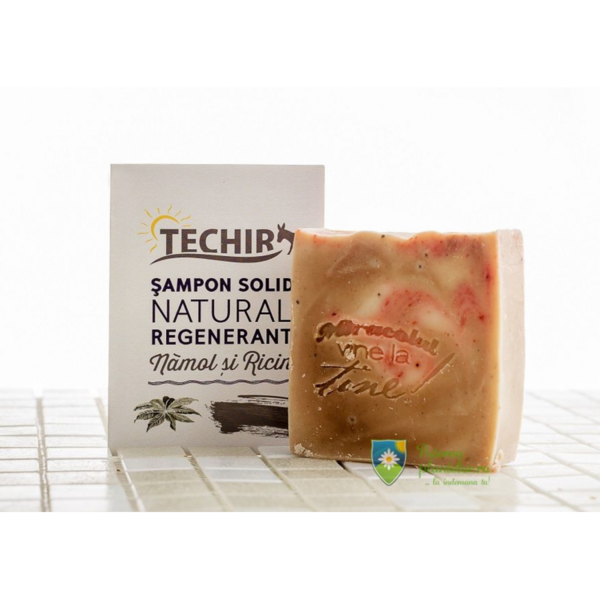 Techir Sampon Solid Regenerant si sapun nutritiv de corp 120 gr