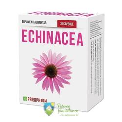 Echinacea 200mg 30 capsule