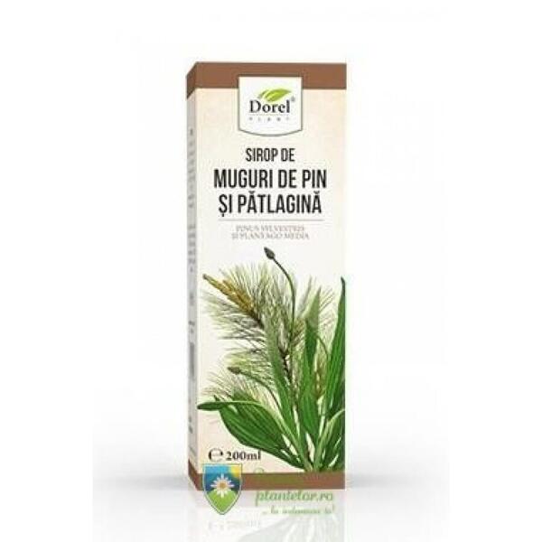 Dorel Plant Sirop muguri pin si patlagina 200 ml