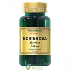 Echinacea Extract 500mg 60 capsule
