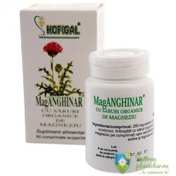Hofigal MagAnghinar 60 comprimate