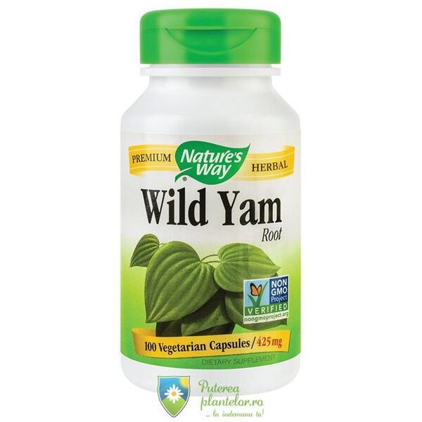 Secom Wild Yam 425mg 100 capsule