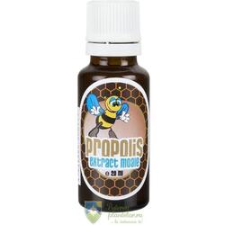 Propolis Extract Moale 70% 20 ml