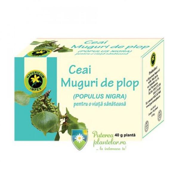 Hypericum Muguri de Plop Ceai 40 gr