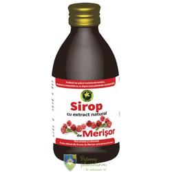 Sirop Merisor 250 ml