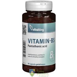 Vitamina B5 Acid Pantotenic 200mg 90 capsule