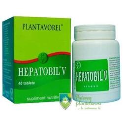 Hepatobil V 40 tablete