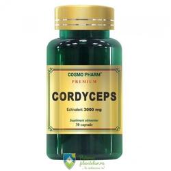 Cordyceps 300mg Premium 30 capsule