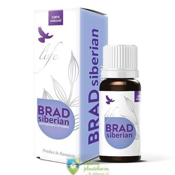 Bionovativ Life Ulei esential de Brad siberian 10 ml