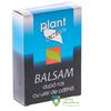 Etera Prod Balsam dupa ras Plant Activ 200 ml