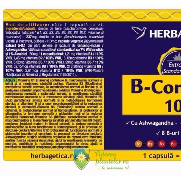 Herbagetica B Complex 100 60 capsule