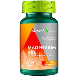 Magneziu+B6 90 tablete