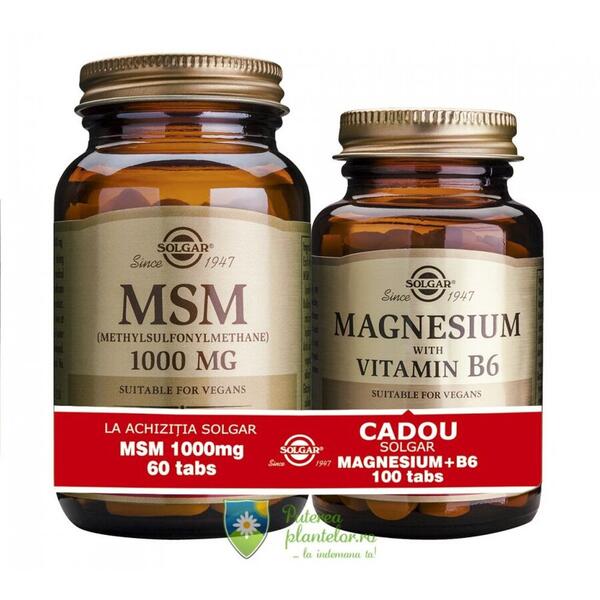 Solgar MSM 1000mg 60 tb + Magnesium cu B6 100 tb Gratis