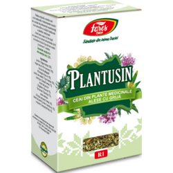 Plantusin R1 (antibronsic) ceai punga 50 gr